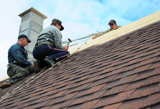 Quick and Trustworthy Emergency Roof Repair Services in Dry Ridge, KY